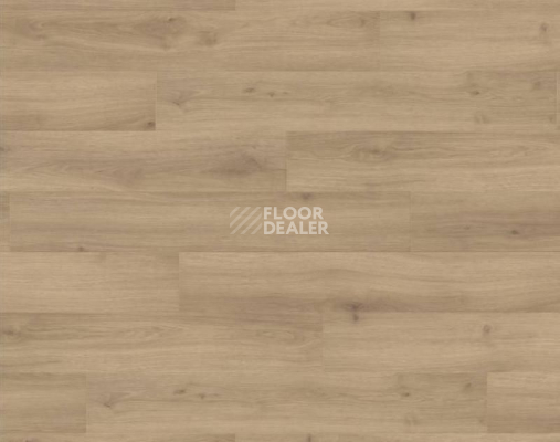 Ламинат Haro Tritty 100 4V ДУБ ЭМИЛИЯ ПУРО 538691 фото 1 | FLOORDEALER